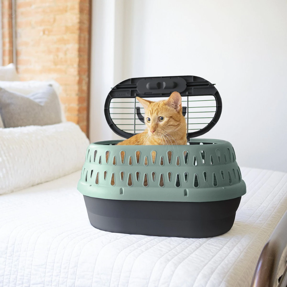 Transportadora Para Gatos Petmate Transportadora Para Gatos Petmate